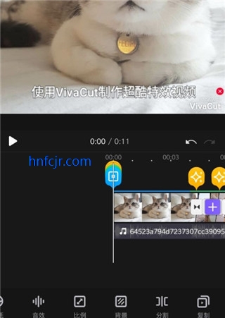 免费版永久会员