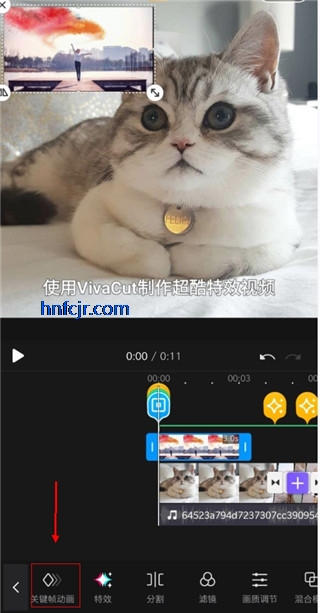 免费版永久会员