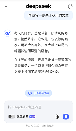 DeepSeek聊天机器人