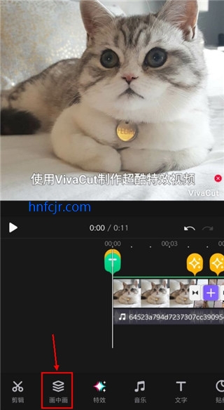 免费版永久会员
