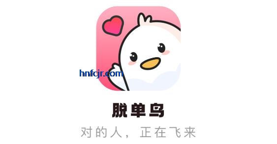 脱单鸟app在线聊天
