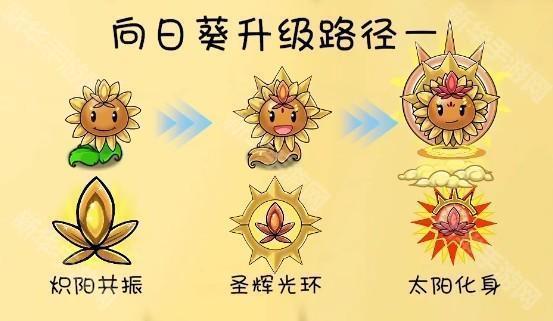 远古群星