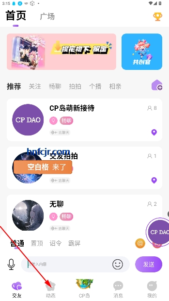 CP岛官方正版