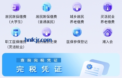 湘税社保养老金认证