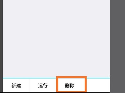 iapp图4