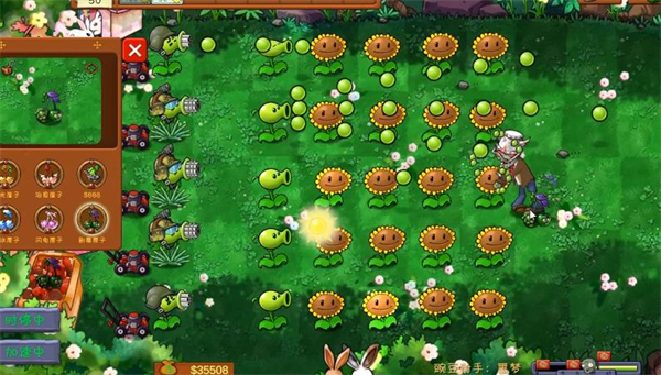 PVZ共生版