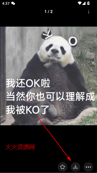 堆糖app官方版