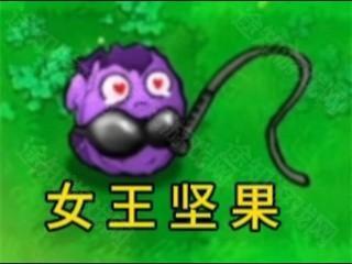植物大战僵尸逆天版