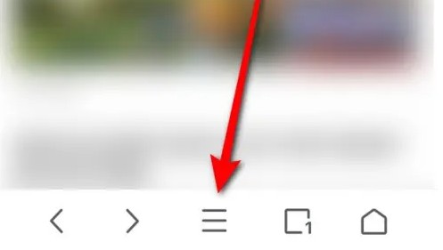 Alook浏览器图片8