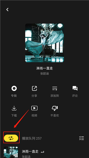 moo音乐2025