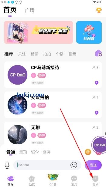 CP岛官方正版