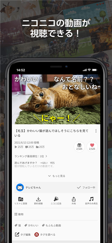 ニコニコ动画