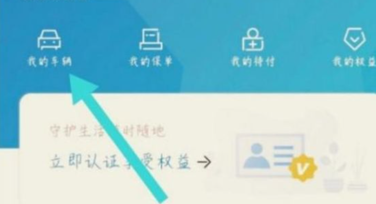车旺大卡