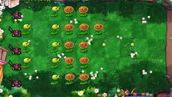 PVZ共生版