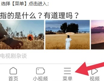 天马浏览器极速版官网版