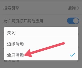天马浏览器极速版官网版