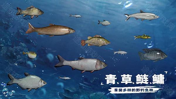 天天钓鱼