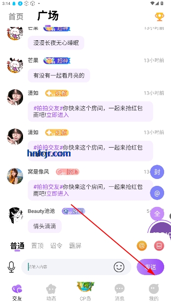 CP岛官方正版