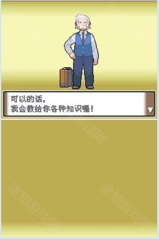 口袋妖怪白金