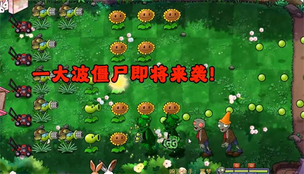 PVZ共生版