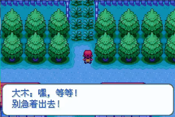 口袋妖怪激进红4.1汉化版
