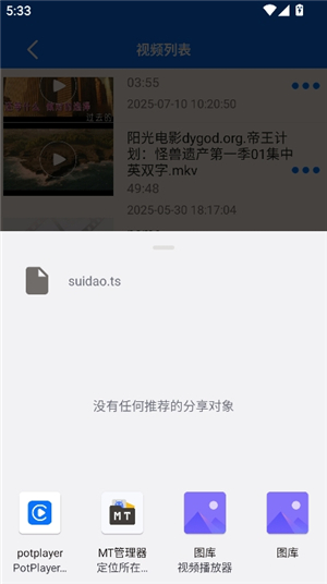 potplayer手机版下载安卓中文版
