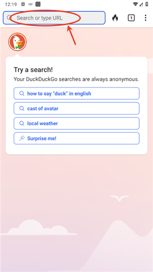 duckduckgo中文版